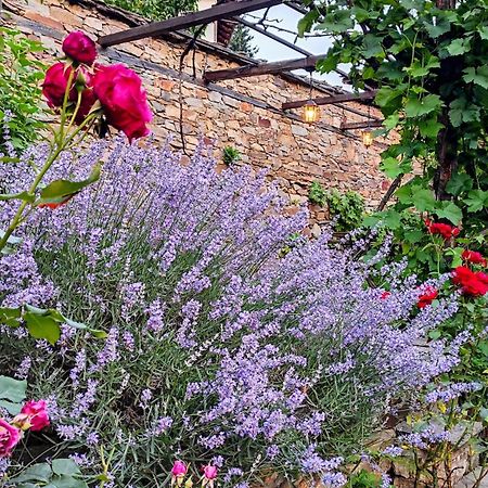 Kalinia Guesthouse B&B Kovačevica Dış mekan fotoğraf