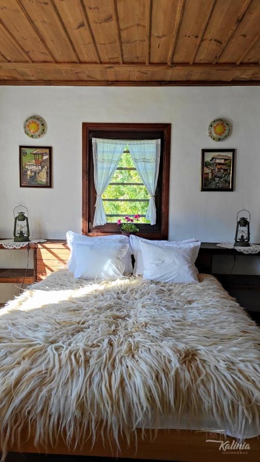 Kalinia Guesthouse B&B Kovačevica Dış mekan fotoğraf