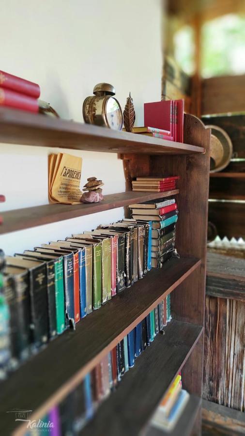 Kalinia Guesthouse B&B Kovačevica Dış mekan fotoğraf