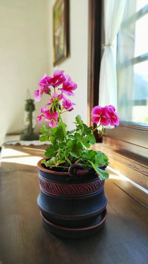 Kalinia Guesthouse B&B Kovačevica Dış mekan fotoğraf