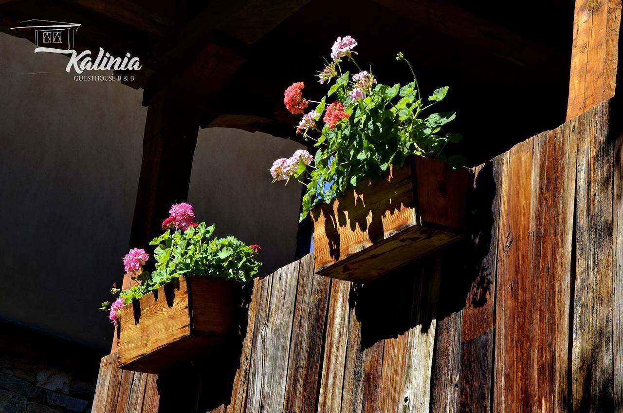 Kalinia Guesthouse B&B Kovačevica Dış mekan fotoğraf