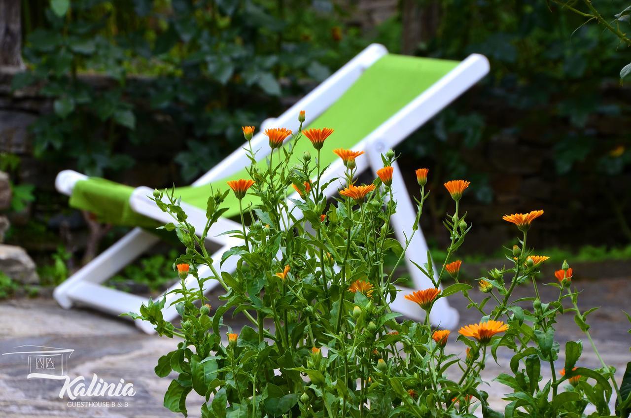 Kalinia Guesthouse B&B Kovačevica Dış mekan fotoğraf