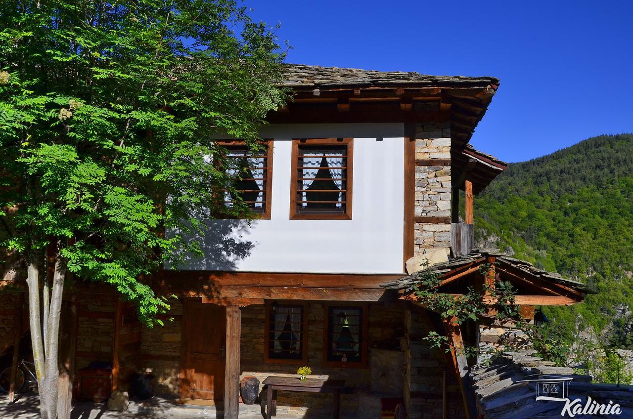 Kalinia Guesthouse B&B Kovačevica Dış mekan fotoğraf