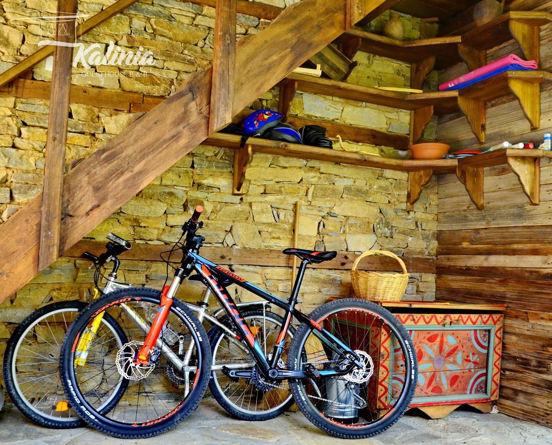 Kalinia Guesthouse B&B Kovačevica Dış mekan fotoğraf