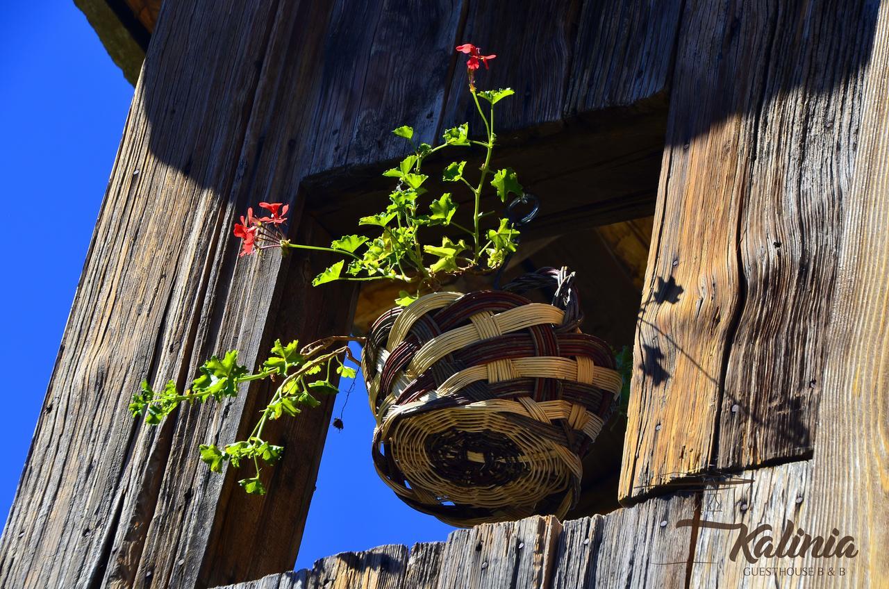Kalinia Guesthouse B&B Kovačevica Dış mekan fotoğraf