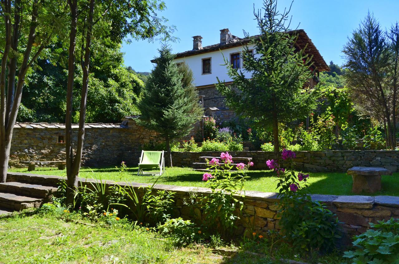 Kalinia Guesthouse B&B Kovačevica Dış mekan fotoğraf