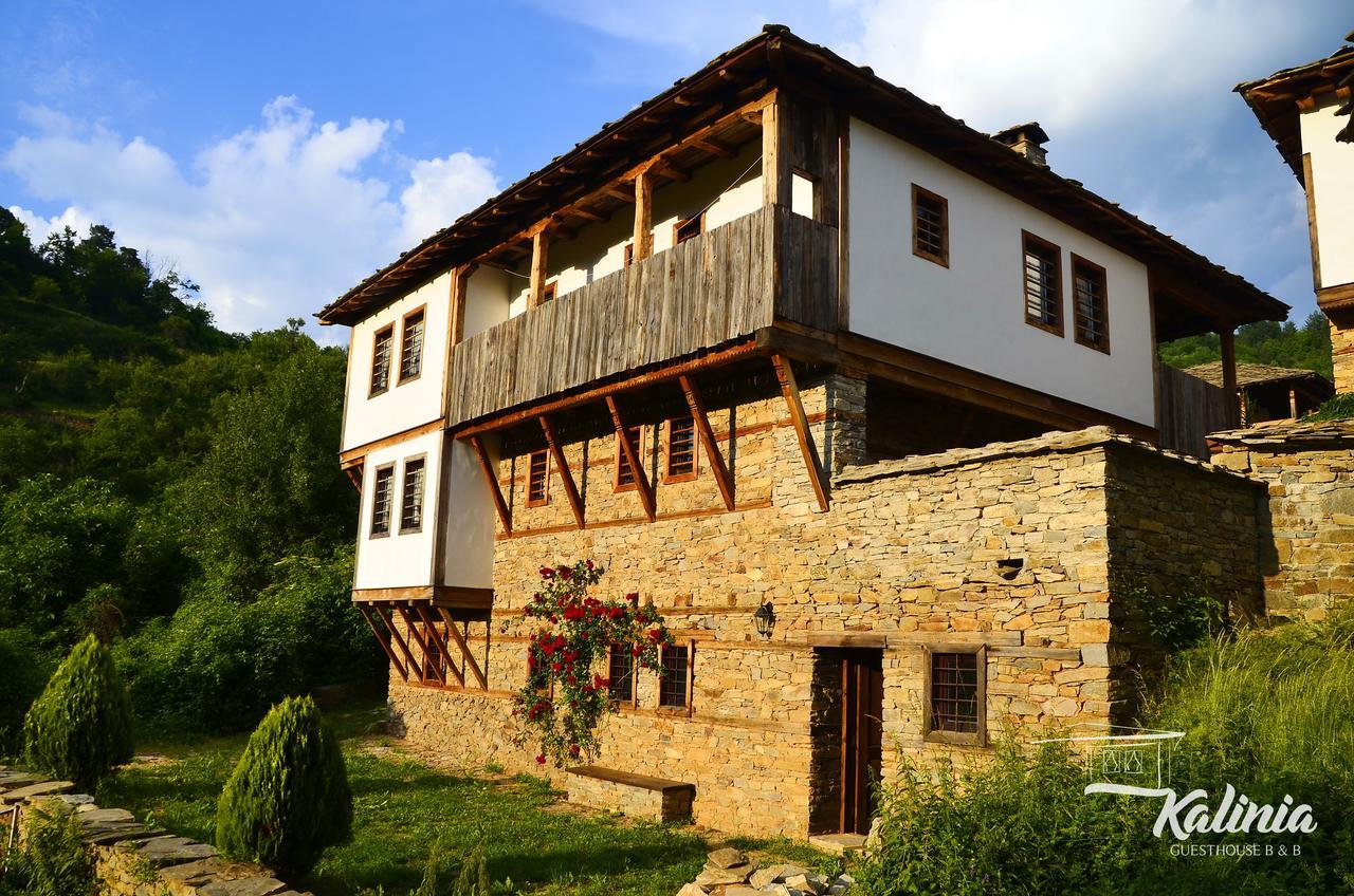 Kalinia Guesthouse B&B Kovačevica Dış mekan fotoğraf
