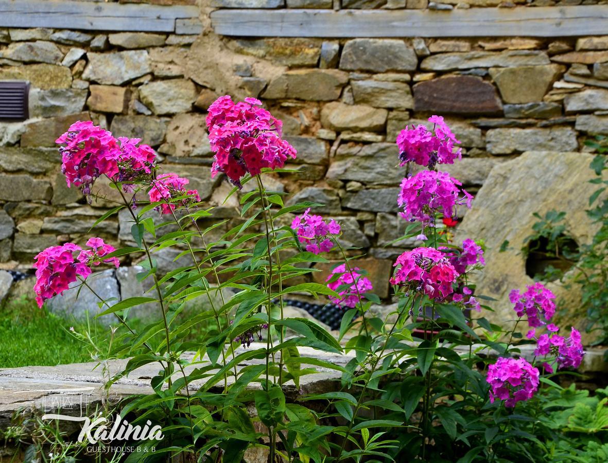 Kalinia Guesthouse B&B Kovačevica Dış mekan fotoğraf