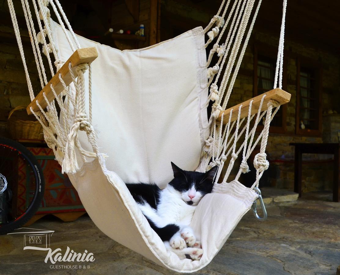 Kalinia Guesthouse B&B Kovačevica Dış mekan fotoğraf