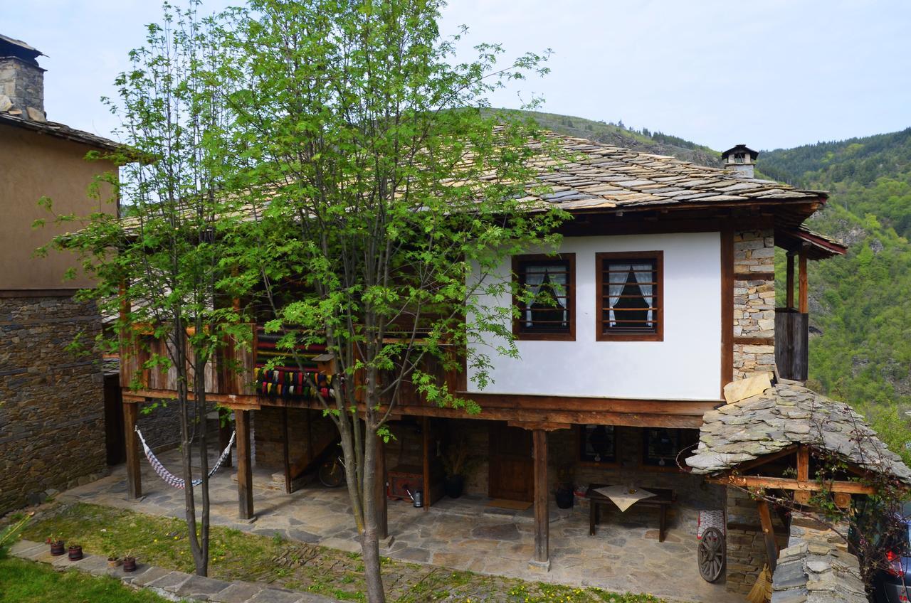 Kalinia Guesthouse B&B Kovačevica Dış mekan fotoğraf