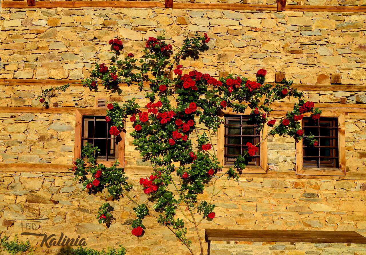 Kalinia Guesthouse B&B Kovačevica Dış mekan fotoğraf