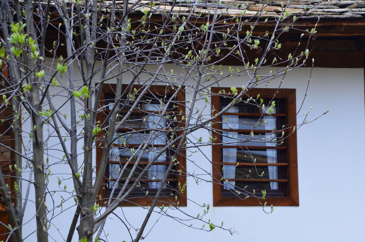 Kalinia Guesthouse B&B Kovačevica Dış mekan fotoğraf