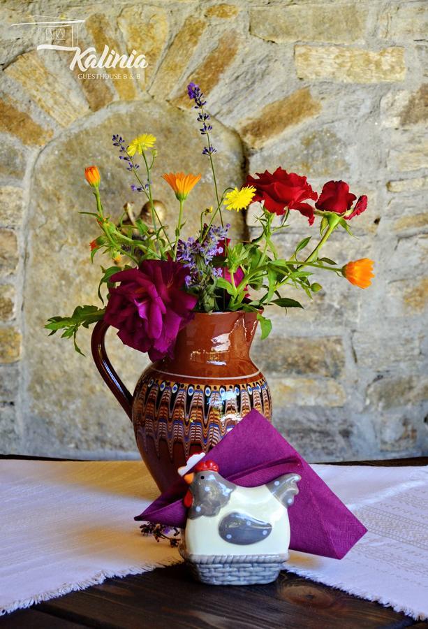Kalinia Guesthouse B&B Kovačevica Dış mekan fotoğraf