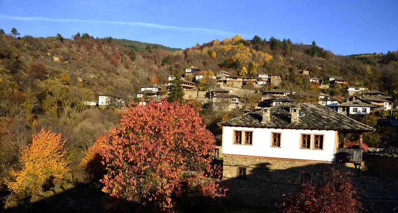 Kalinia Guesthouse B&B Kovačevica Dış mekan fotoğraf