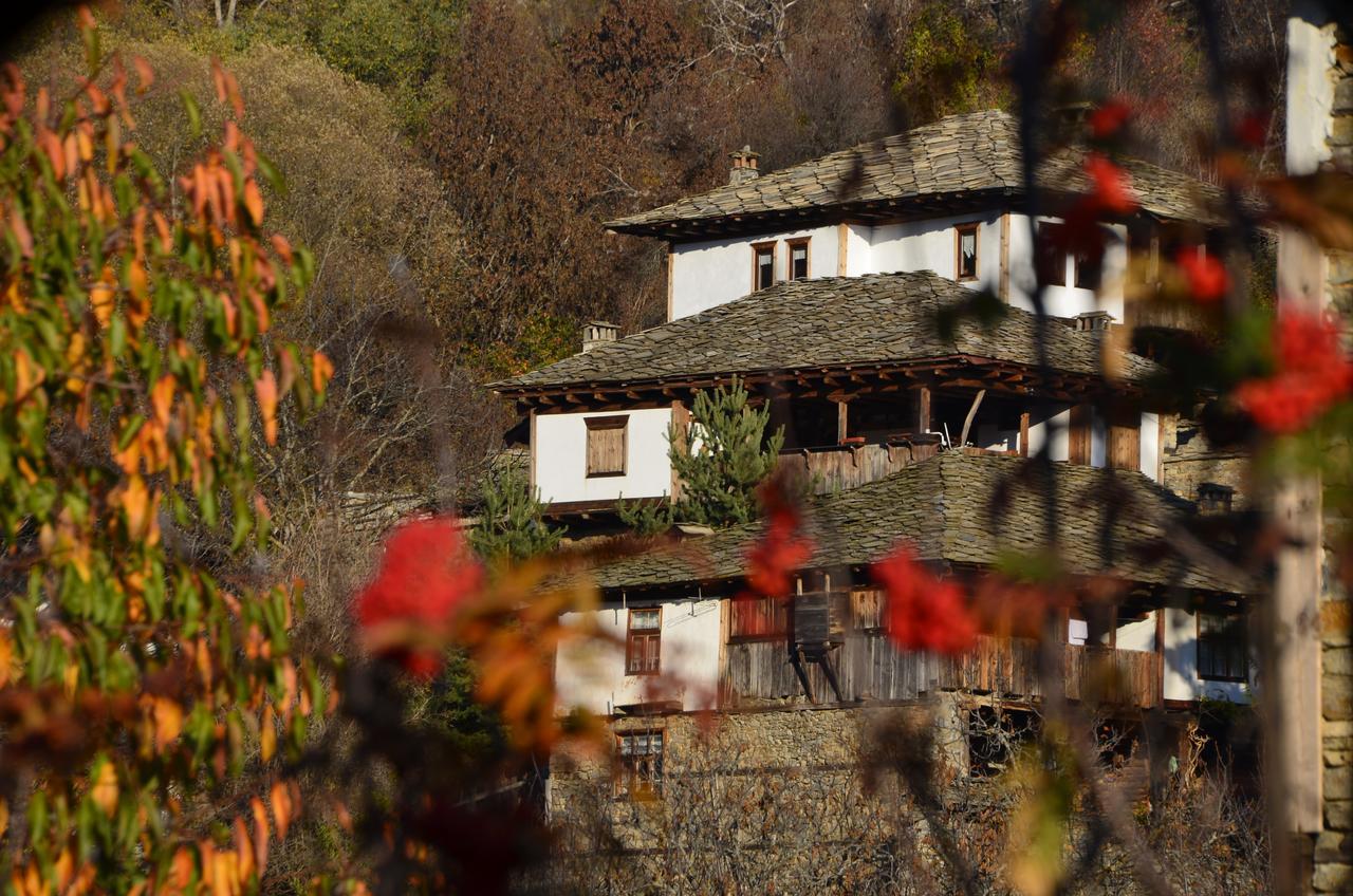 Kalinia Guesthouse B&B Kovačevica Dış mekan fotoğraf