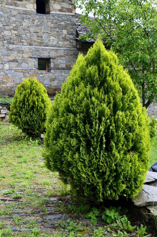 Kalinia Guesthouse B&B Kovačevica Dış mekan fotoğraf