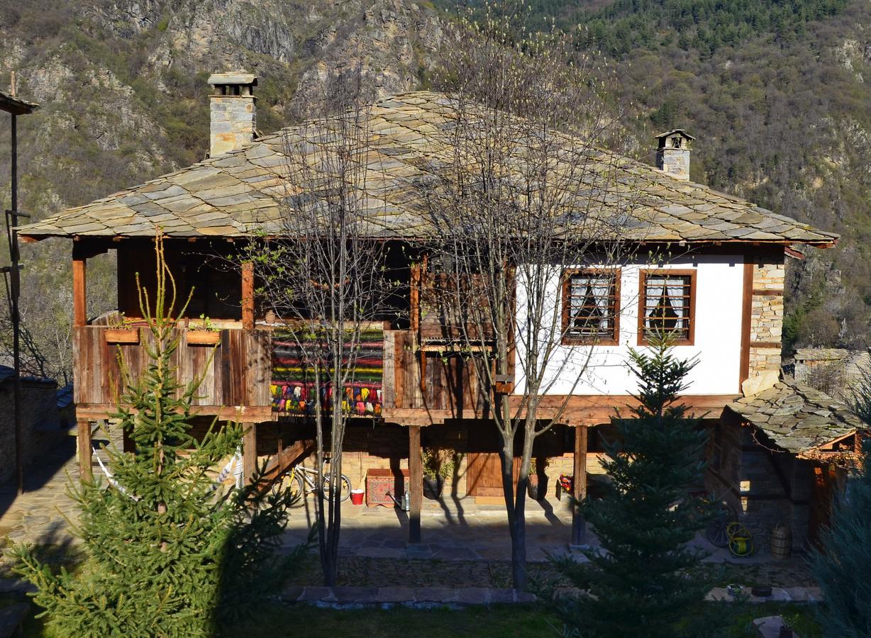 Kalinia Guesthouse B&B Kovačevica Dış mekan fotoğraf