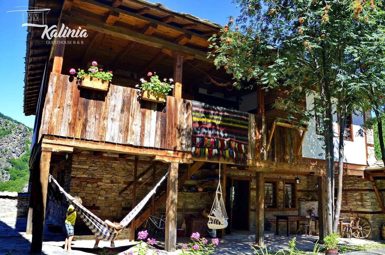 Kalinia Guesthouse B&B Kovačevica Dış mekan fotoğraf