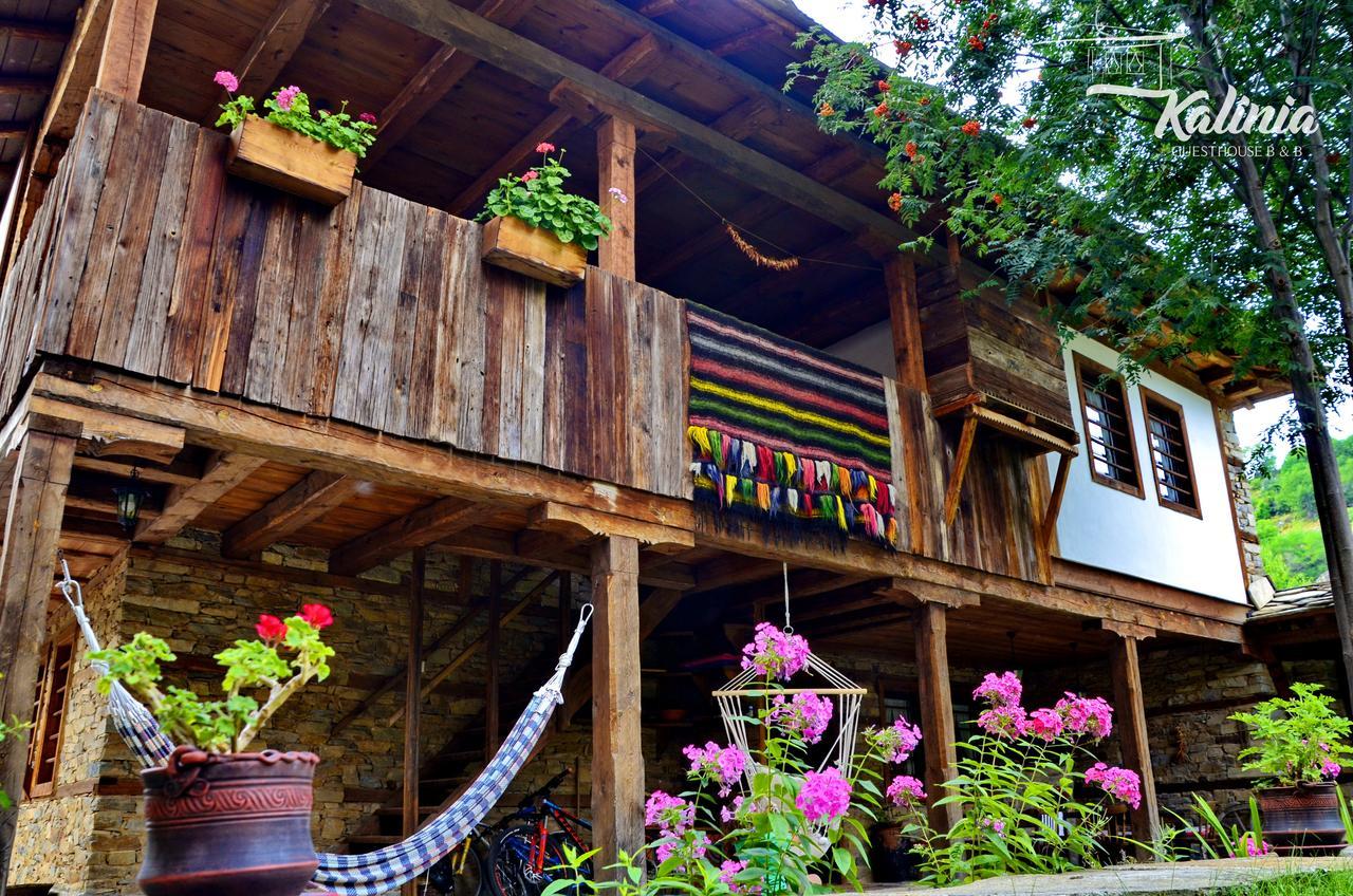 Kalinia Guesthouse B&B Kovačevica Dış mekan fotoğraf