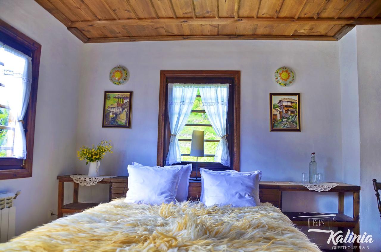 Kalinia Guesthouse B&B Kovačevica Dış mekan fotoğraf