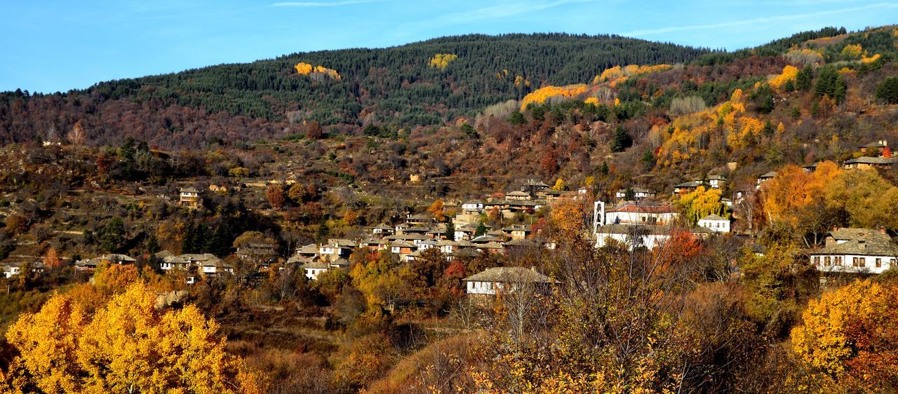 Kalinia Guesthouse B&B Kovačevica Dış mekan fotoğraf