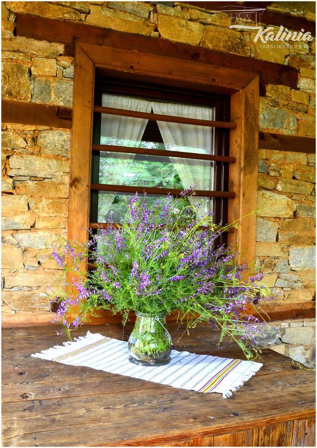 Kalinia Guesthouse B&B Kovačevica Dış mekan fotoğraf